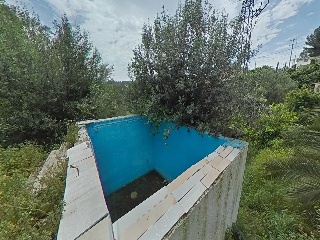Xaloc 31