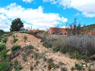 Partida Planas De Vals 4