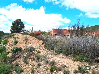 Partida Planas De Vals 5