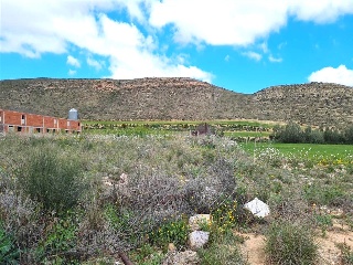 Partida Planas De Vals 7