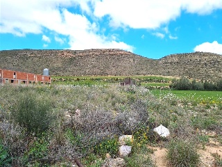 Partida Planas De Vals 8