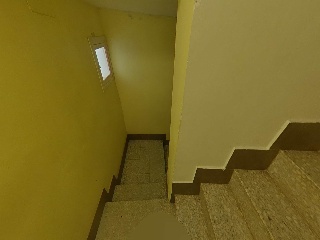 Ciegos 29