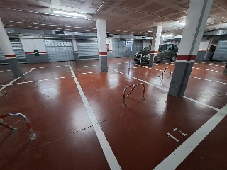 Alzina 3