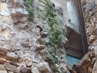S Juan Alta 7