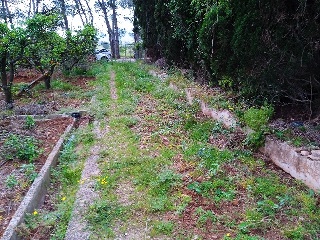12. Partida Safarechot 8