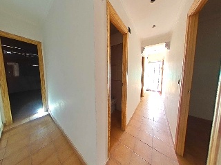 Poligono 43 15
