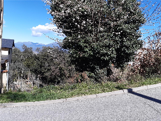CAMPEROL 3