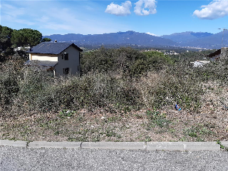 CAMPEROL 4
