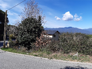 CAMPEROL 5