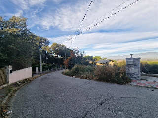 CAMPEROL 8