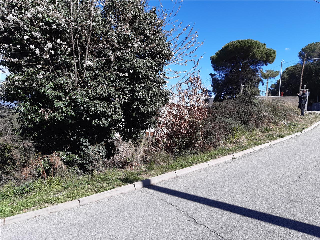 CAMPEROL 9