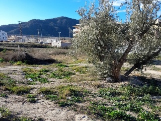 BENIAJAN. SITIO DE TINOSA 7