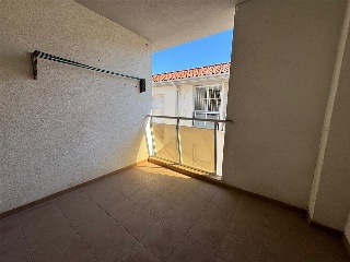 Dali 16