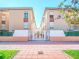Dali 29