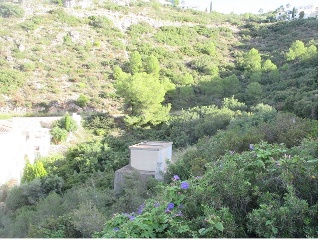 Montepego. Calle Naranjos. 3