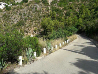 Montepego. Calle Naranjos. 4