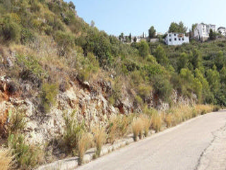 Montepego. Calle Naranjos. 5