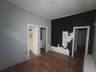 Brutau 2