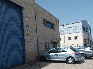 Madroño 3