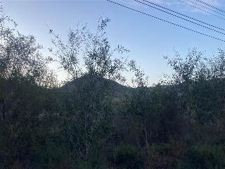 NUEVALUARCA 8
