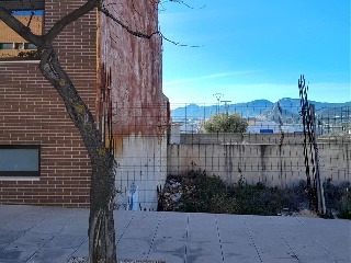 VIRGEN 5