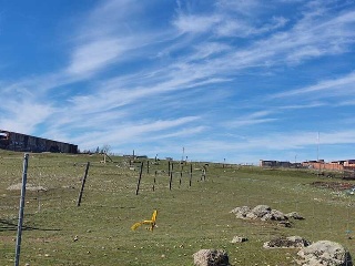 LOS BARRANQUILLOS 4