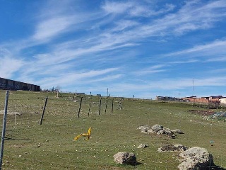 LOS BARRANQUILLOS 7