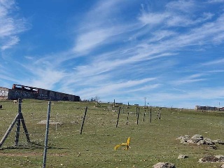 LOS BARRANQUILLOS 9