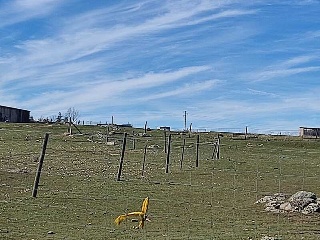 LOS BARRANQUILLOS 10
