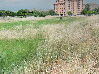 Suelo en C/ Sancho Manuela 37