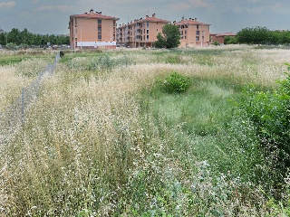 Suelo en C/ Sancho Manuela 40