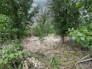 Suelo en C/ Gasca Gervasio 28