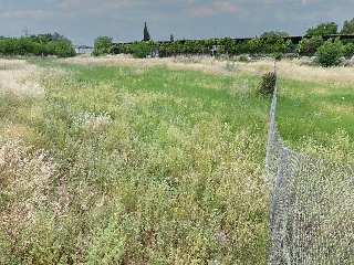 Suelo en Calatayud 36
