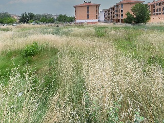 Suelo en Calatayud 39