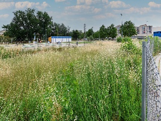 Suelo en Calatayud 34