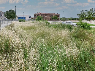 Suelo en Calatayud 35