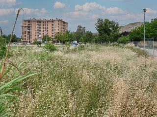 Suelo en Calatayud 36
