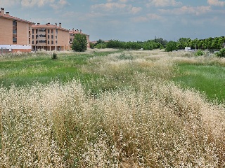 Suelo en Calatayud 51