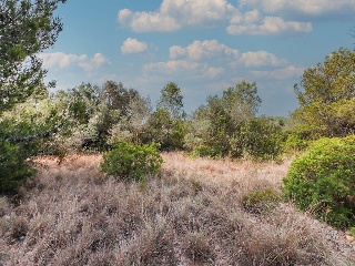 Suelo urbano en Alcanar - Tarragona - 16