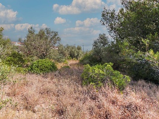 Suelo urbano en Alcanar - Tarragona - 17