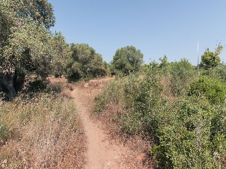 Solar en C/ Roquetes, El Vendrell (Tarragona) 35