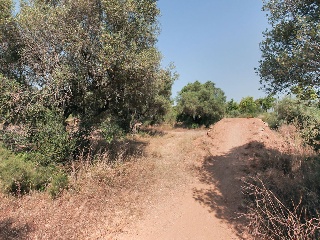 Solar en C/ Roquetes, El Vendrell (Tarragona) 36