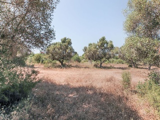 Solar en C/ Roquetes, El Vendrell (Tarragona) 37