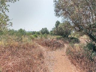 Solar en C/ Roquetes, El Vendrell (Tarragona) 38