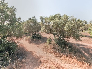 Solar en C/ Roquetes, El Vendrell (Tarragona) 39