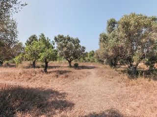 Solar en C/ Roquetes, El Vendrell (Tarragona) 41