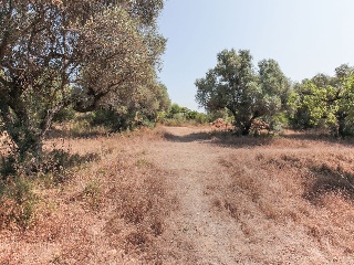 Solar en C/ Roquetes, El Vendrell (Tarragona) 42