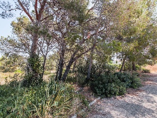 Solar en C/ Del Tord, Ametlla de Mar (L´) (Tarragona) 12