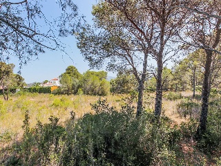 Solar en C/ Del Tord, Ametlla de Mar (L´) (Tarragona) 13