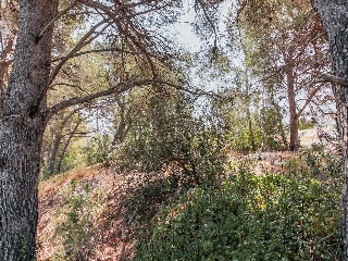 Solar en C/ Del Tord, Ametlla de Mar (L´) (Tarragona) 14